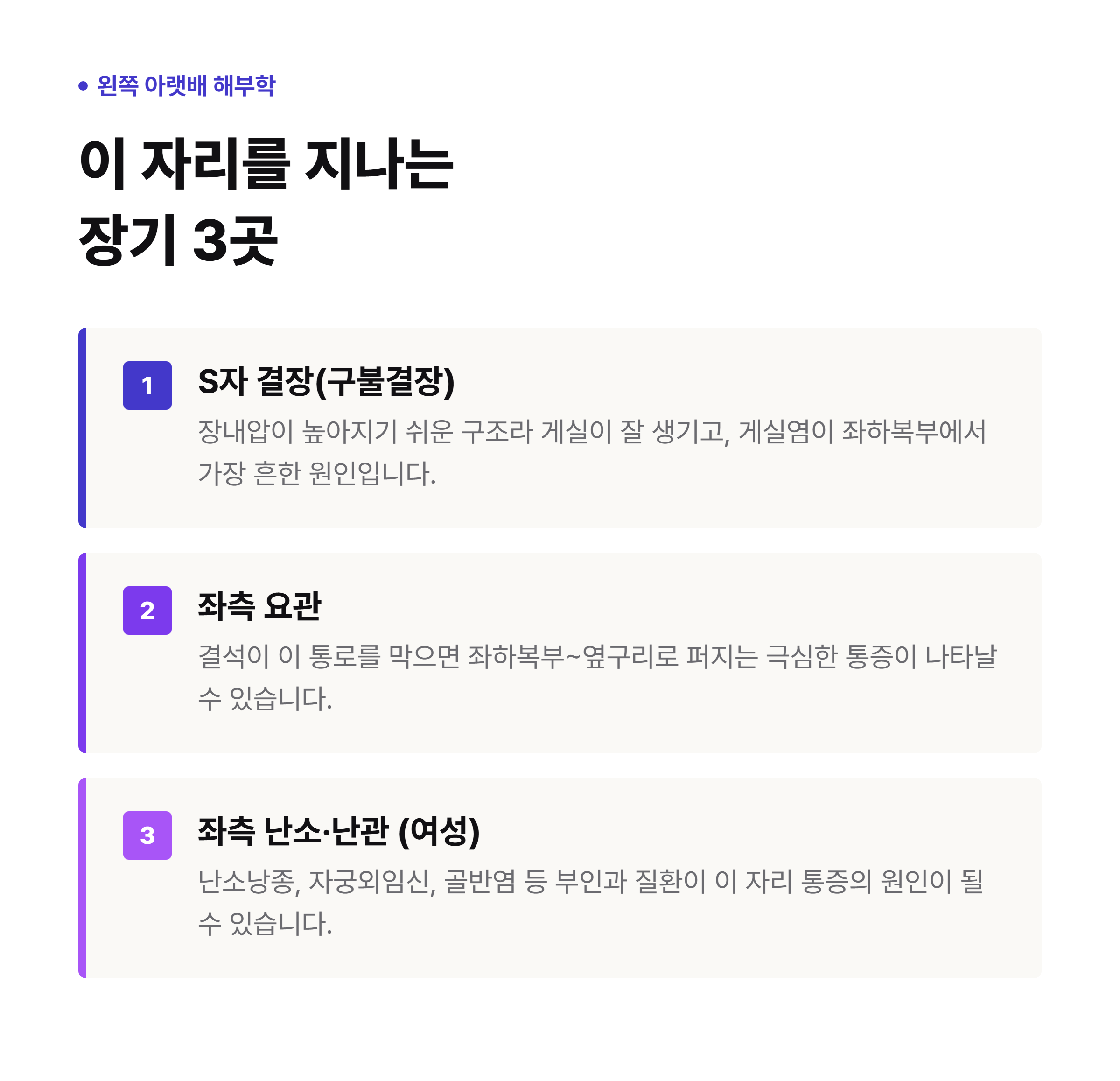 왼쪽 아랫배 통증과 관련된 장기 위치 - S자 결장, 좌측 요관, 좌측 난소·난관