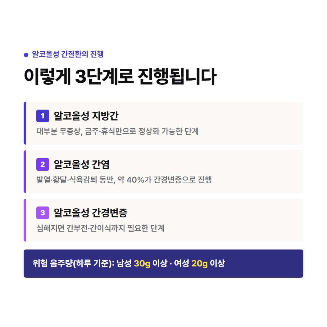 술이 간수치를 올리는 방식 - 위험 음주량 기준(남녀), 알코올성 간질환 진행 3단계