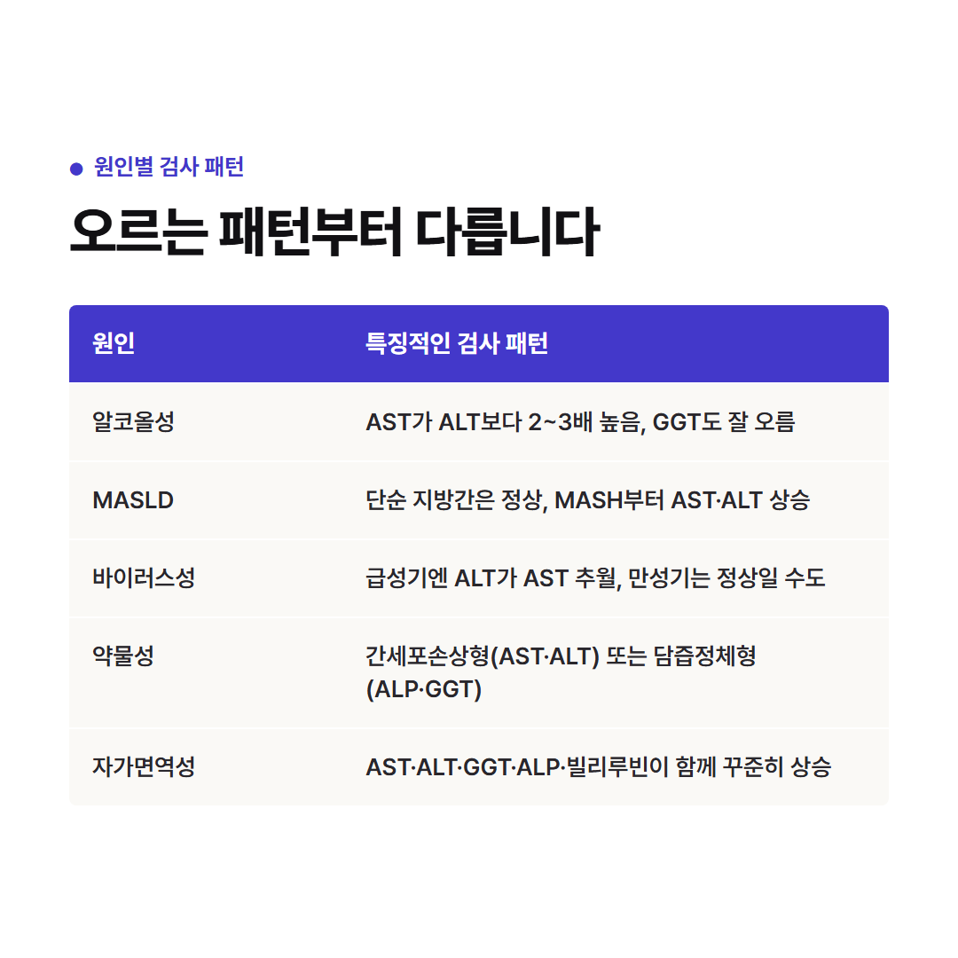 원인별 간수치 검사 패턴 비교 - 알코올성·MASLD·바이러스성·약물성·자가면역 간염